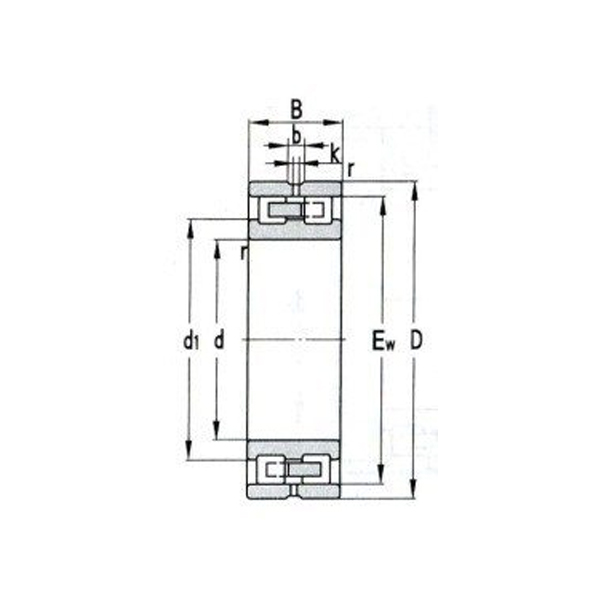 Roulement à rouleaux cylindriques à deux rangées